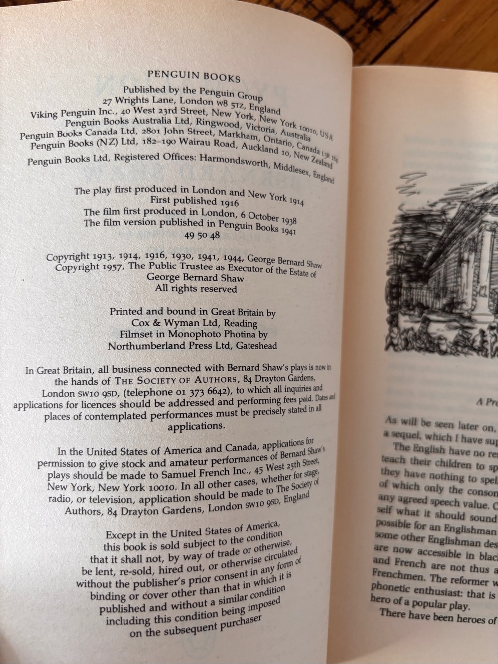 Pygmalion - Picture 5 of 5